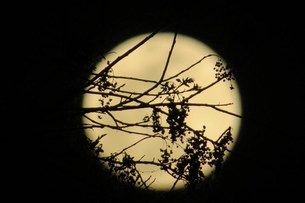 Pousada Luna Zen Pirenópolis Extérieur photo